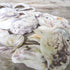 White and Purple Rustic Oyster Shells - 1 Kg